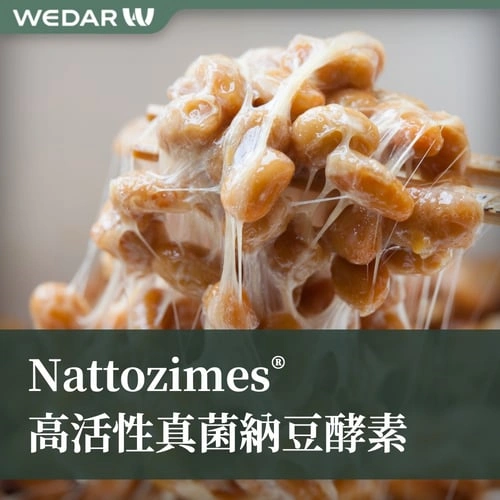 Nattozimes® 高活性真菌纳豆酵素
