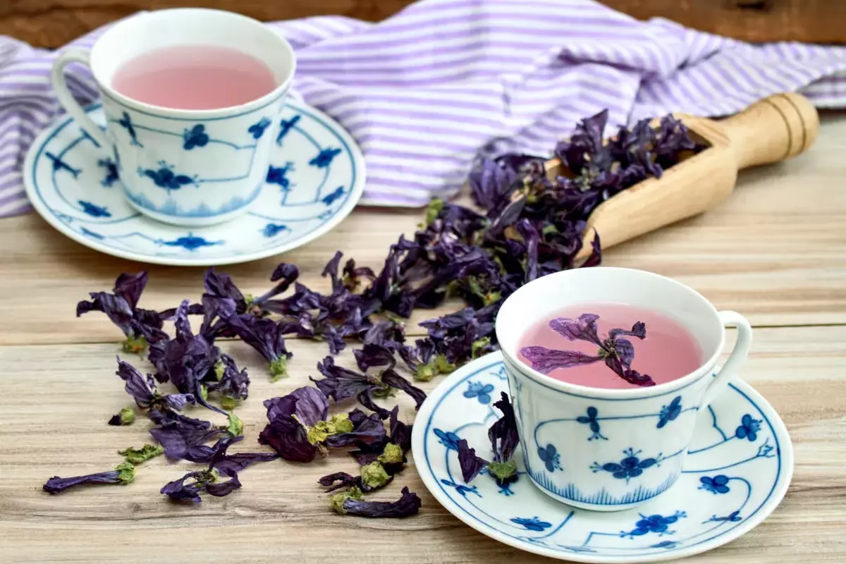 平衡肠道氧化压力