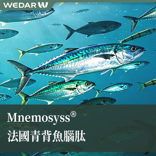 Mnemosyss® 法国青背鱼脑肽