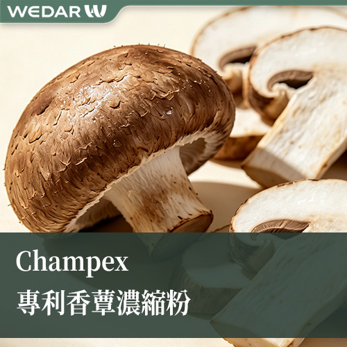 Champex 专利除臭剂香蕈浓缩粉