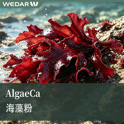 AlgaeCa海藻粉