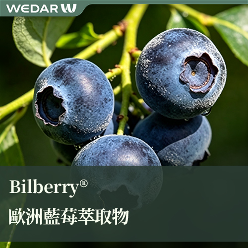 Bilberry®欧洲蓝莓/越橘提取物