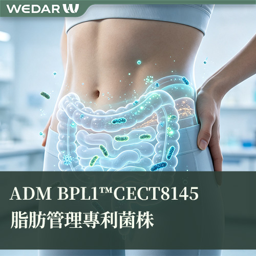 ADM BPL1™CECT8145脂肪管理专利菌株