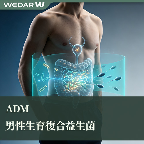 ADM男性生育复合益生菌