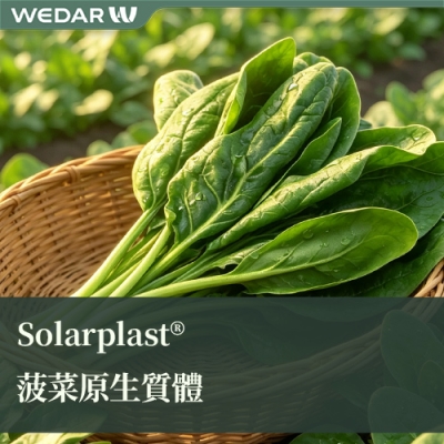 Solarplast® 菠菜能量原生质体